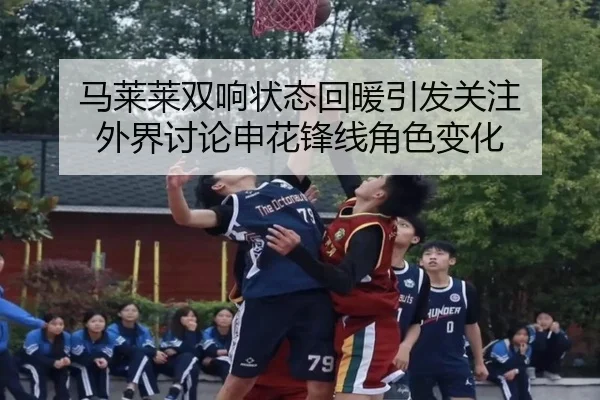 马莱莱双响状态回暖引发关注 外界讨论申花锋线角色变化
